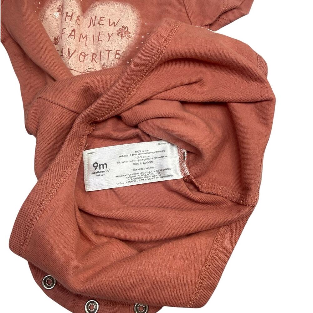 Carter's Bodysuit Bundle Baby Girl Hummingbird Heart Brown 9 Months - Picture 6 of 6